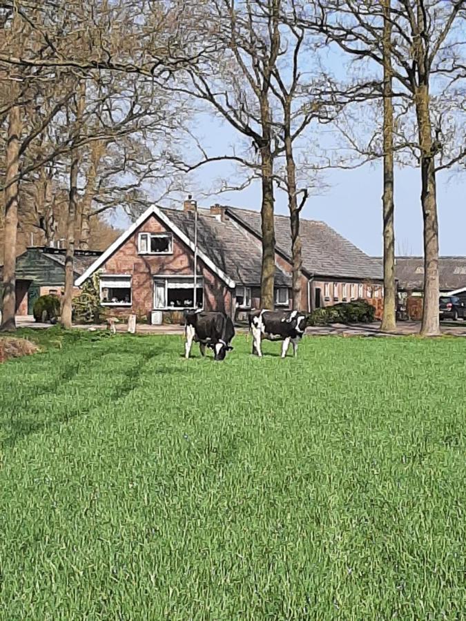 Hoeve De Laan Woudenberg Екстер'єр фото